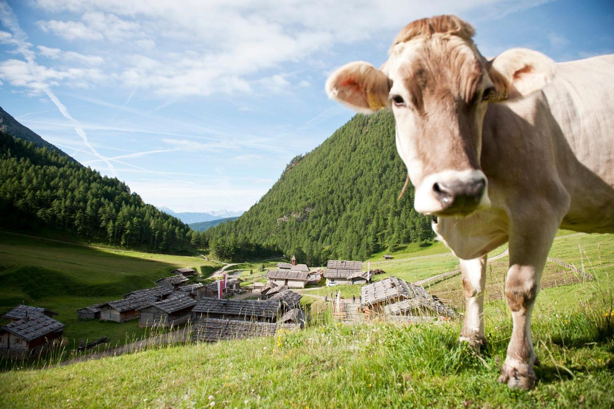 Schupfe- Direkt Neben Der Kabinenbahn Gitschberg Jochtal Maranza Exterior foto